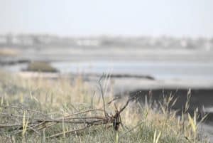Stricken und Mee(h)r – Der Strickurlaub auf Sylt