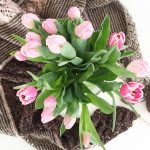 Wochen-Inspirationen #17/16