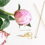 Wochen-Inspirationen #23/16