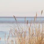 Wochen-Inspirationen #1/2017