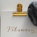 Auf den Nadeln - aktuelle Strickprojekte im Februar 2017
