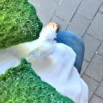 Wochen-Inspirationen #24/2017